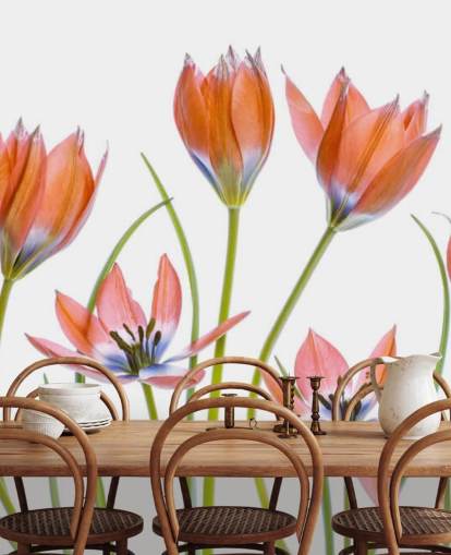 tulipas vermelhas crescendo papel de parede