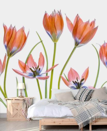 rote Tulpen wachsen Tapete