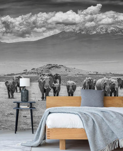 black and white photo of elephants wallpaper