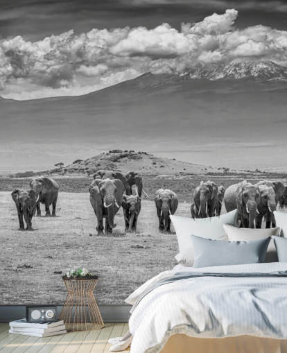 fond d'écran photo noir et blanc d'éléphants