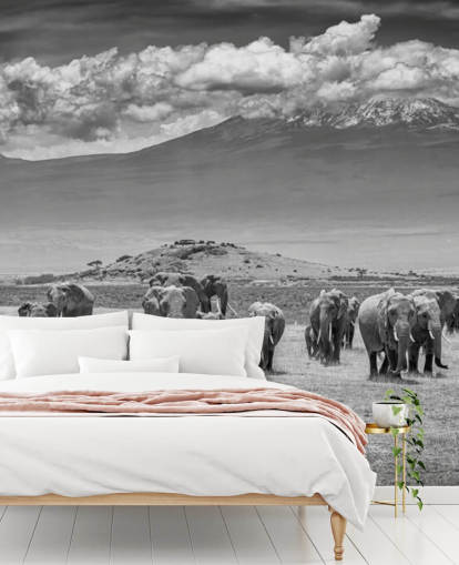 black and white photo of elephants wallpaper