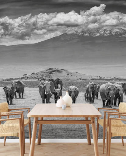 Schwarzweißfoto von Elefanten Tapete