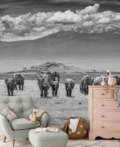 black and white photo of elephants wallpaper