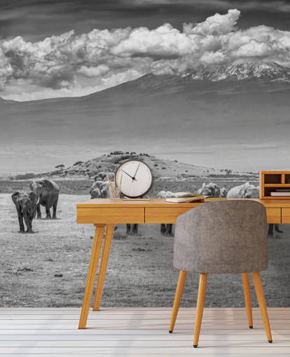 Schwarzweißfoto von Elefanten Tapete