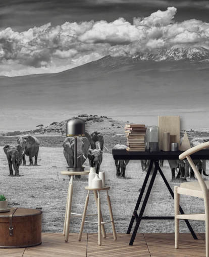 black and white photo of elephants wallpaper