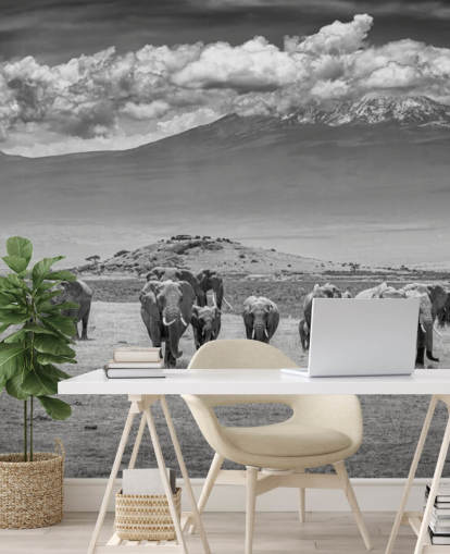 black and white photo of elephants wallpaper