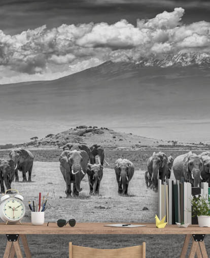 black and white photo of elephants wallpaper