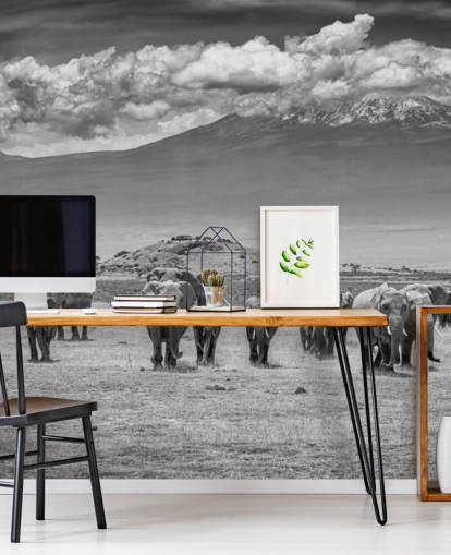 foto en blanco y negro de papel tapiz de elefantes foto en blanco y negro de papel tapiz de elefantes