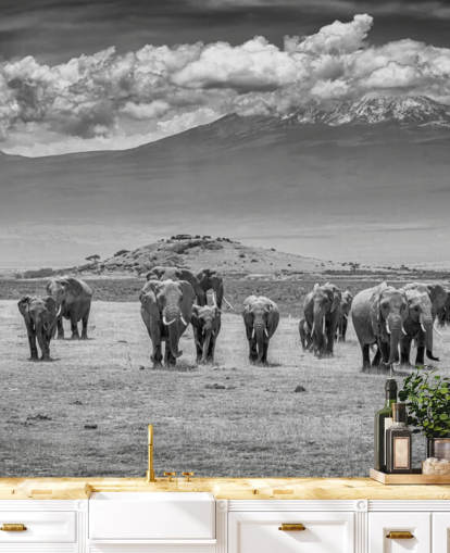 black and white photo of elephants wallpaper