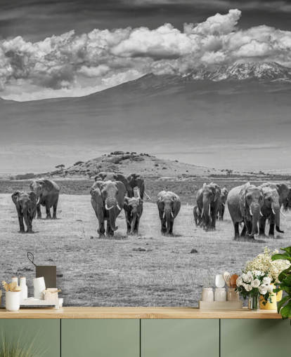 black and white photo of elephants wallpaper black and white photo of elephants wallpaper
