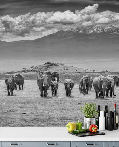 black and white photo of elephants wallpaper
