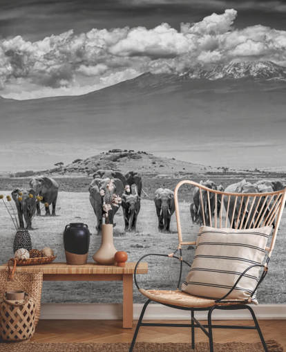 svart og hvitt bilde av elefanter tapet
