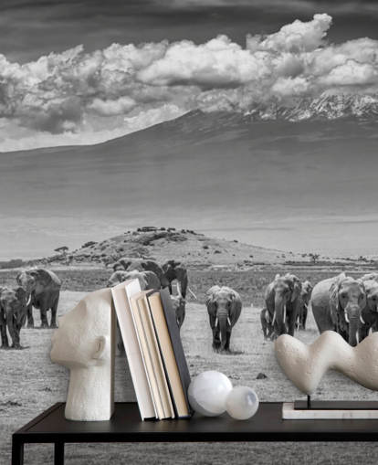 black and white photo of elephants wallpaper