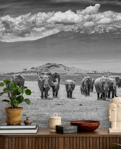 black and white photo of elephants wallpaper