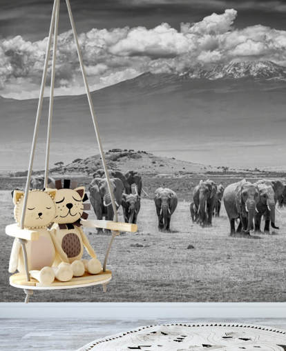 fond d'écran photo noir et blanc d'éléphants