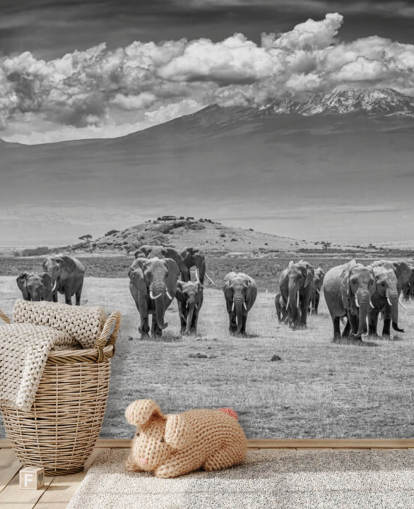 black and white photo of elephants wallpaper