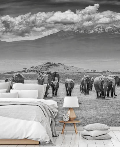 fond d'écran photo noir et blanc d'éléphants