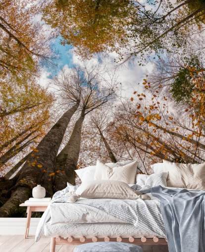 autumnal forest view from the ground wallpaper