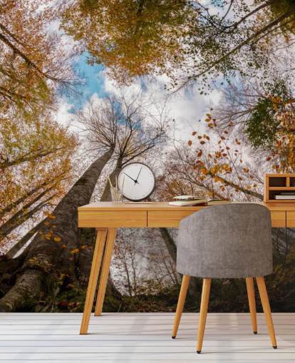 herfstbos uitzicht vanaf de grond behang herfstbos uitzicht vanaf de grond behang