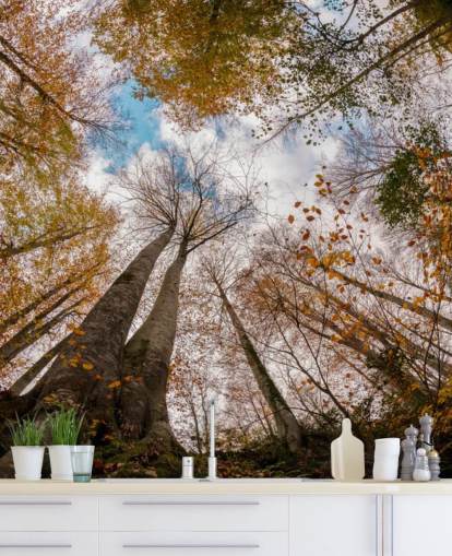 herfstbos uitzicht vanaf de grond behang