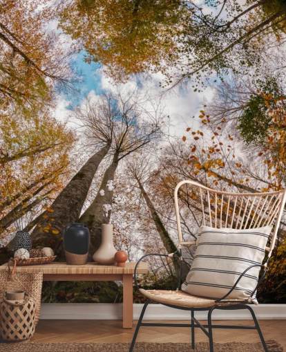 vista autunnale della foresta dalla carta da parati da terra