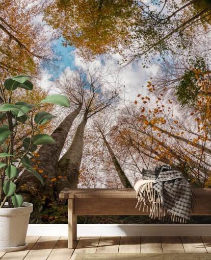 herbstlicher Blick auf den Wald vom Boden