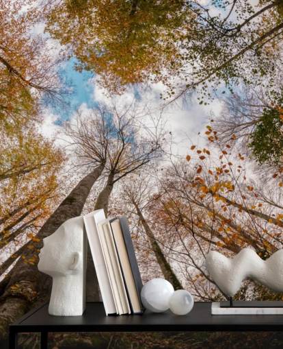 autumnal forest view from the ground wallpaper autumnal forest view from the ground wallpaper