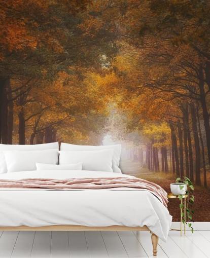 autumnal orange forest wallpaper