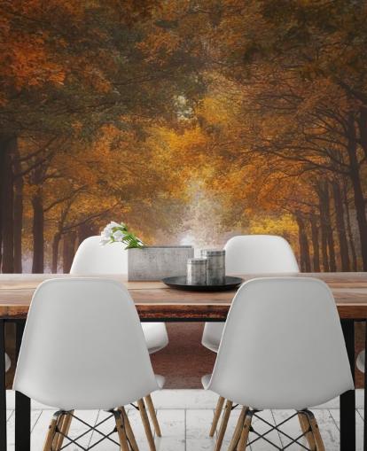 autumnal orange forest wallpaper