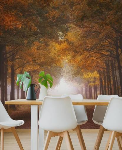 papel de parede outonal floresta laranja