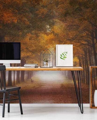 autumnal orange forest wallpaper