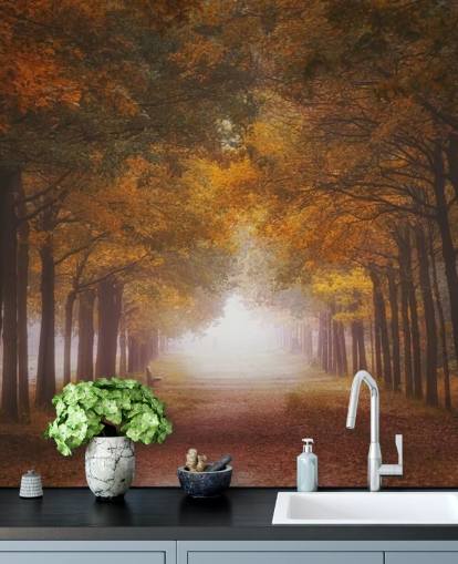 autumnal orange forest wallpaper