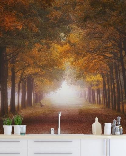 papel pintado bosque naranja otoñal papel pintado bosque naranja otoñal