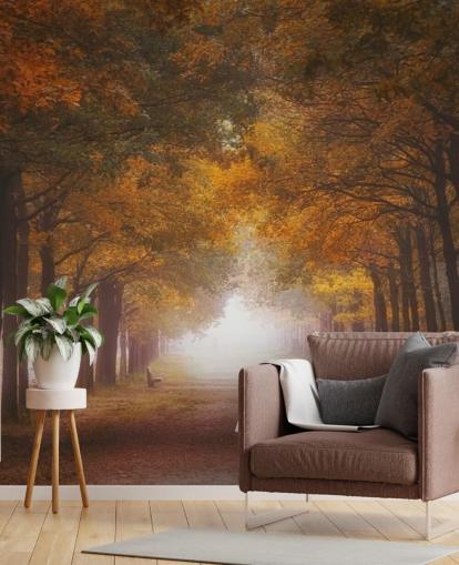 autumnal orange forest wallpaper