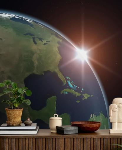 North America from Space Wall Mural