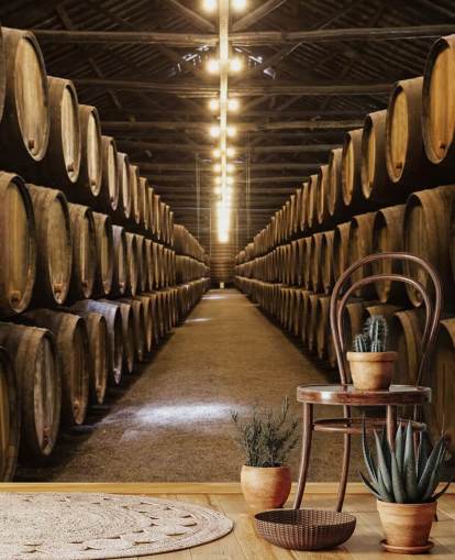 Wine Cellar with Barrels Wallpaper