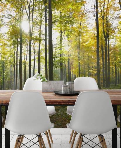 Decorazione murale con foresta