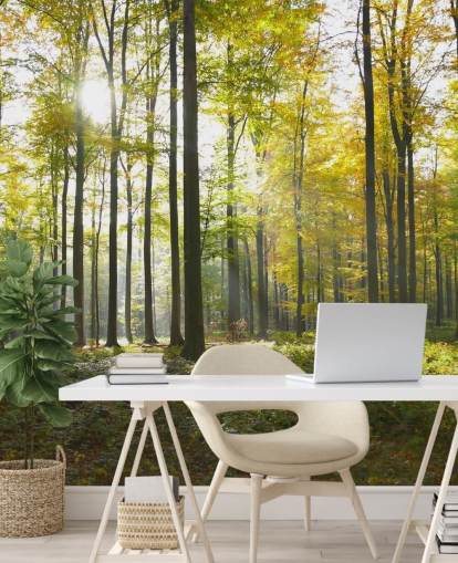 Forest Wall Mural Forest Wall Mural