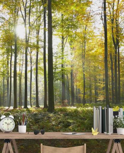 Forest Wall Mural