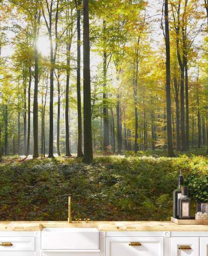 Muurschildering in het bos