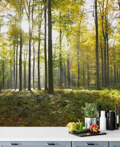 Mural de pared del bosque