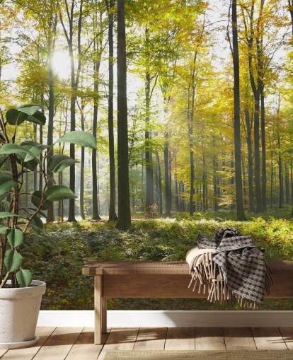 Forest Wall Mural