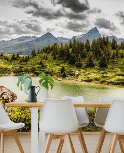 Lake and Mountain Wall Mural