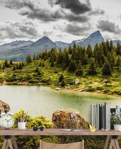 Lake and Mountain Wall Mural