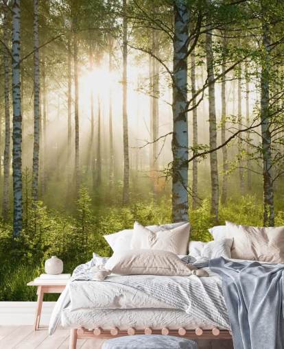 grüne, individuell gestaltbare Waldtapete namens Birch Forest Sunlight für Schlafzimmer und Büros