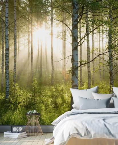 mural verde personalizable de papel pintado de bosque llamado Birch Forest Sunlight para dormitorios y oficinas mural verde personalizable de papel pintado de bosque llamado Birch Forest Sunlight para dormitorios y oficinas