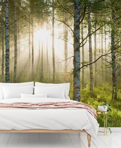 grüne, individuell gestaltbare Waldtapete namens Birch Forest Sunlight für Schlafzimmer und Büros grüne, individuell gestaltbare Waldtapete namens Birch Forest Sunlight für Schlafzimmer und Büros
