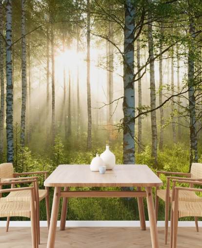papier peint mural vert personnalisable en forme de forêt appelé Birch Forest Sunlight pour les chambres et les bureaux