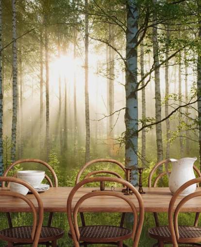 groene aanpasbare bosbehangmuurschildering genaamd Birch Forest Sunlight voor slaapkamers en kantoren