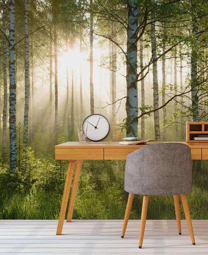 vihreä muokattava metsätaustakuvamaalaus nimeltä Birch Forest Sunlight makuuhuoneisiin ja toimistoihin